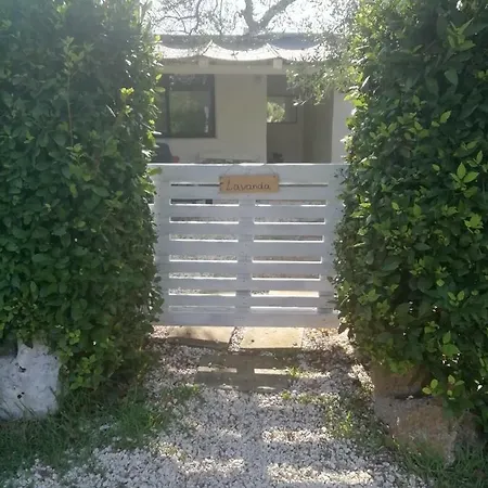 Massaro Pietro
