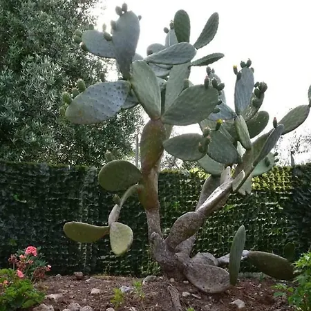 Massaro Pietro مزرعة للإقامة *