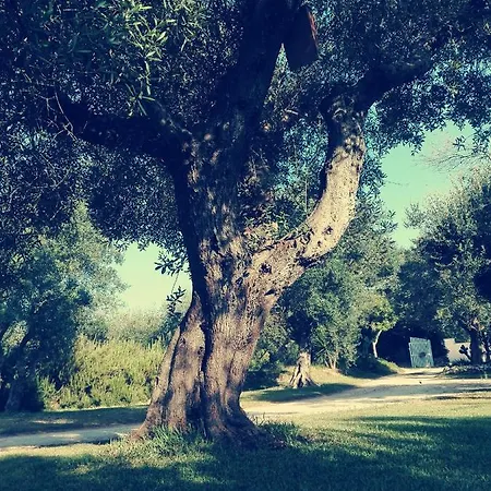 Massaro Pietro مزرعة للإقامة أوترانتو